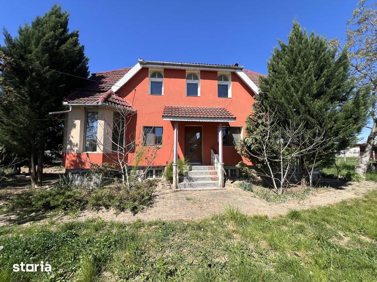 Proprietate cu teren generos in Paulesti - 20