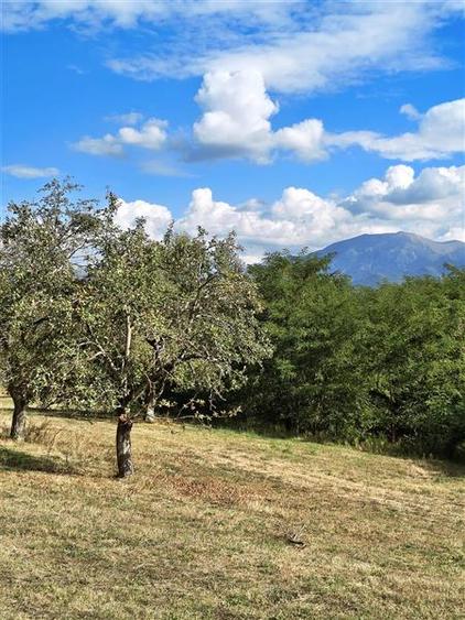 Teren agricol extravilan de 2500 mp, în Periferie