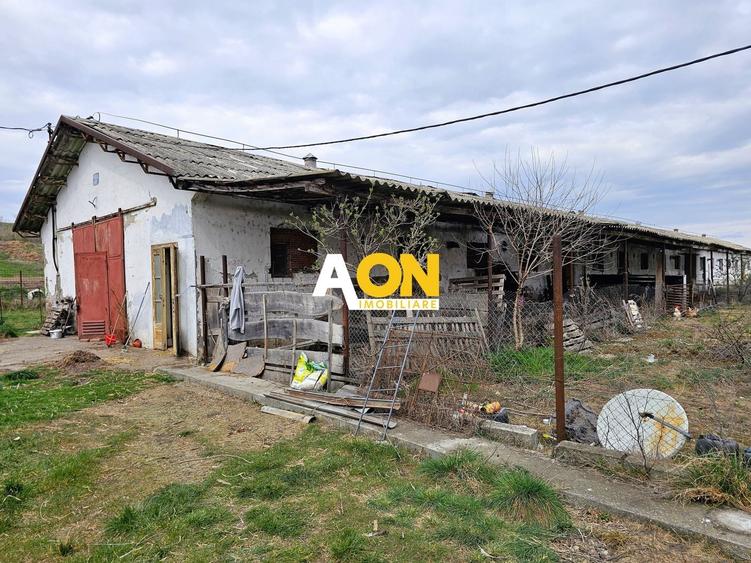 Spațiu industrial, de 1,400 mp, în Lunca Mureșului