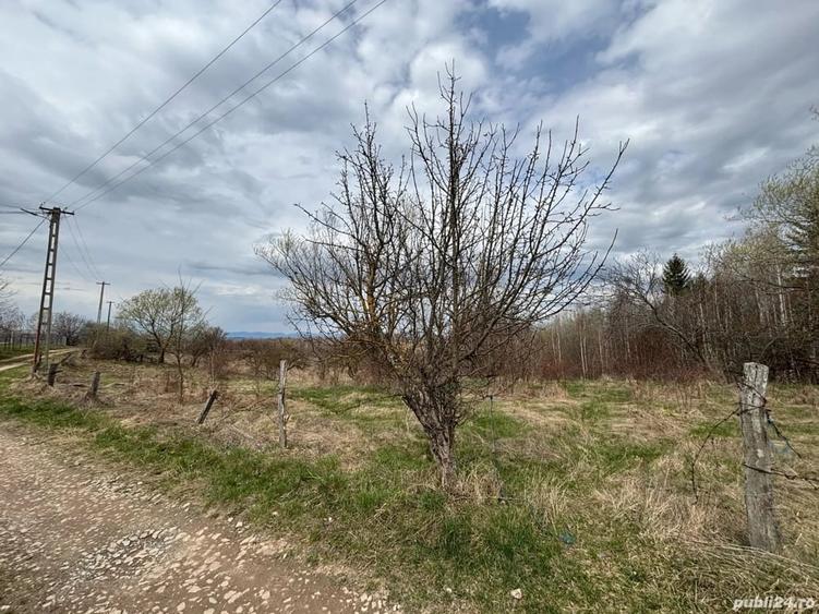 Teren de 850 mp, în Râșca
