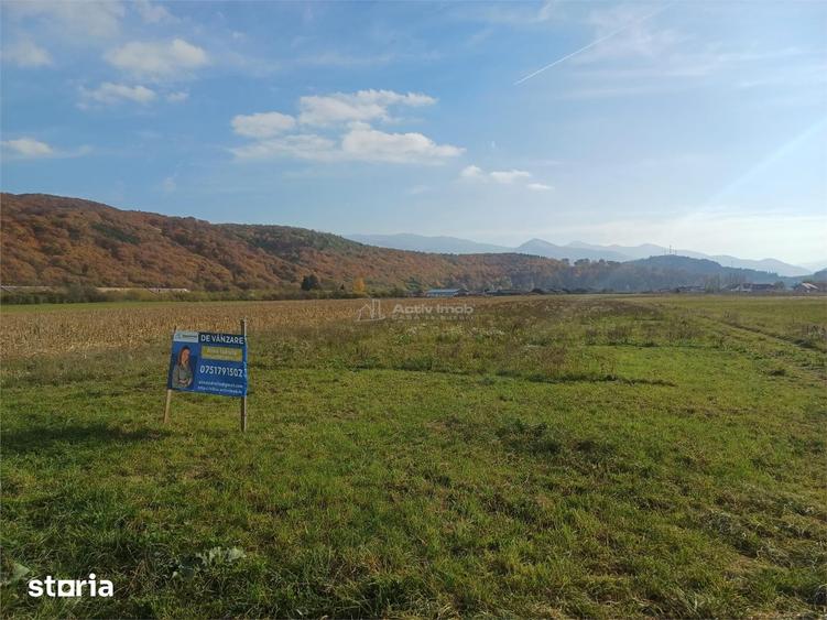 Teren de 10000 mp, în Tălmaciu