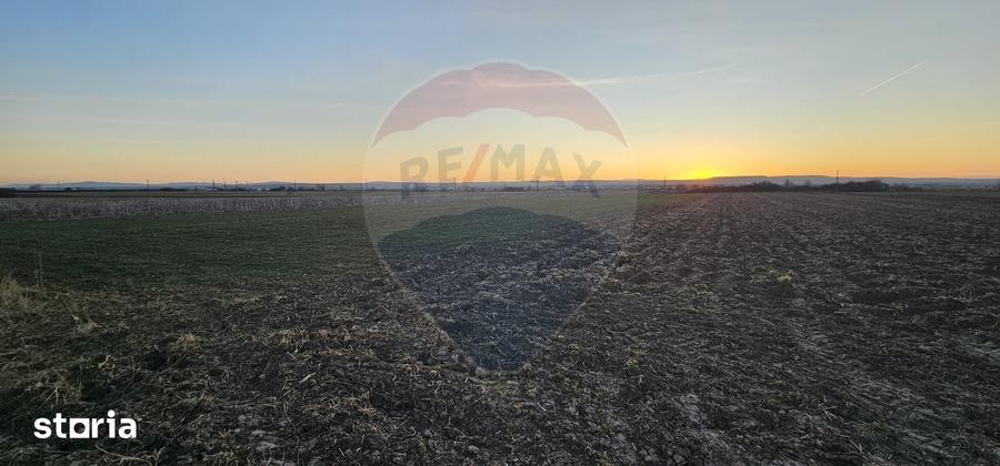 Teren de 3600 mp, în Filipești