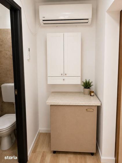 Apartament 2 camere de vanzare Pia?a Victoriei, Intrarea Doctor Felix - 9