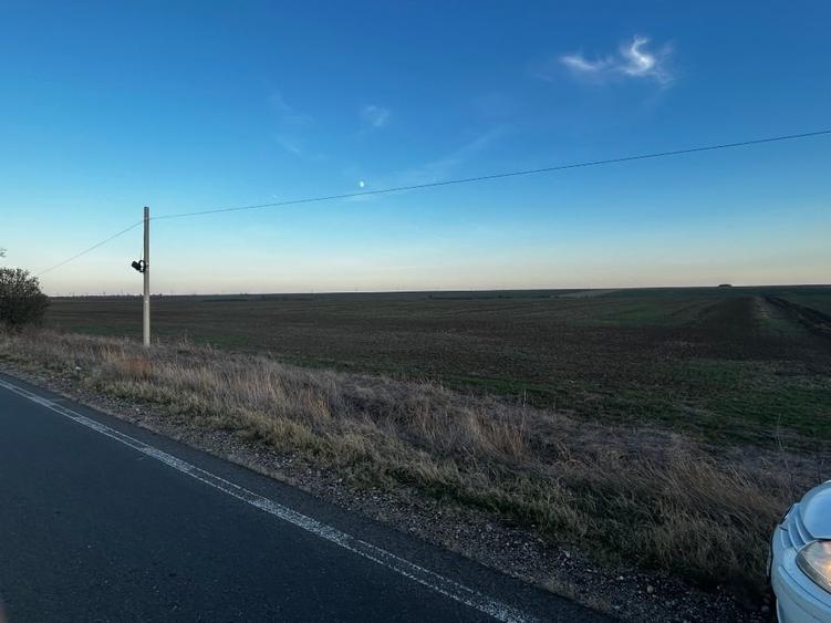 Teren agricol extravilan de 20000 mp, în Orțișoara
