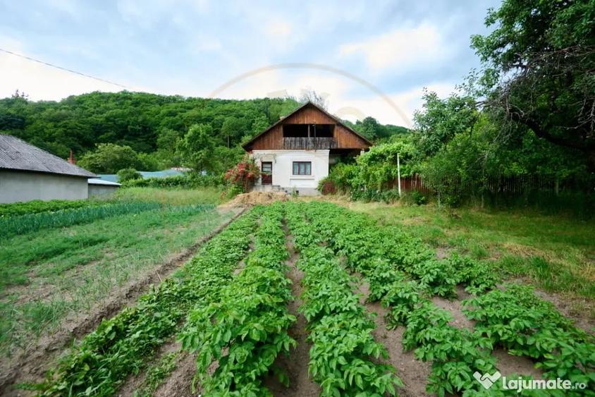 Casă cu 3 camere cu Teren 4696 Mp în Central