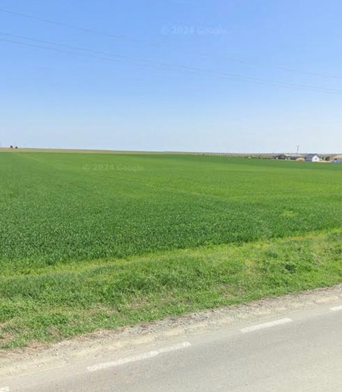 Teren de 22500 mp, în Mihail Kogălniceanu