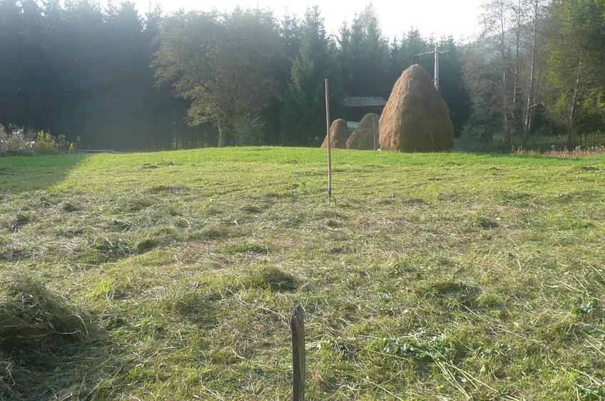 Teren Construcții intravilan de 12000 mp, în Trăisteni