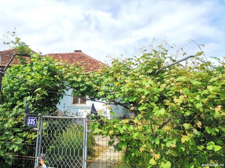 Casă cu 4 camere cu Teren 1300 Mp în Baia de Fier