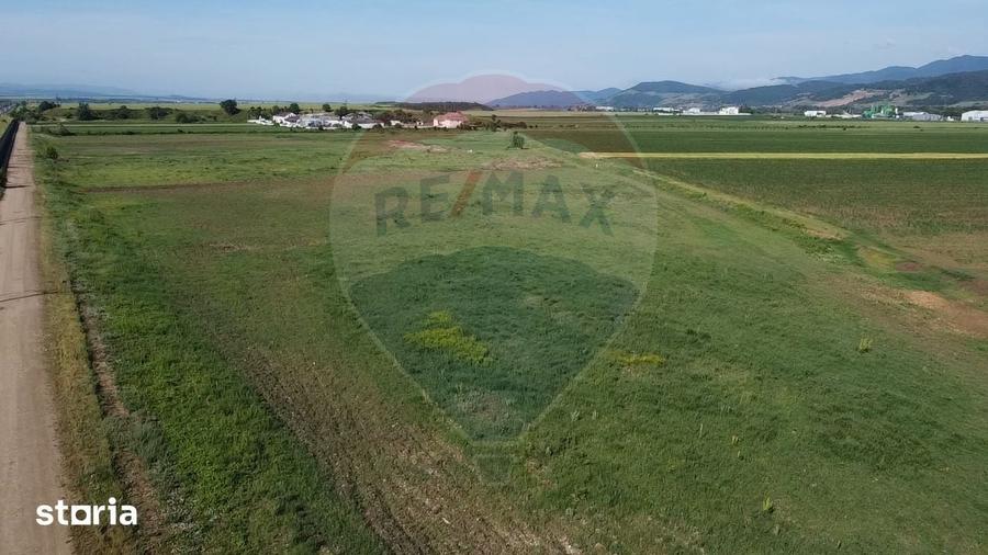 Teren de 39500 mp, în Vințu de Jos