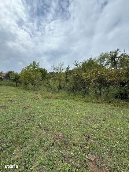 Teren de 3429 mp, în Poiana