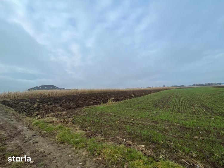 Teren de 1300 mp, în Marginea