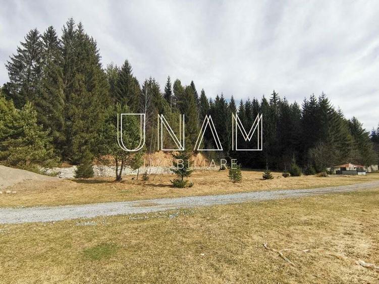 ***OFERTA NOUA*** Teren langa Scena, in Poiana Lupului, Garana - 1