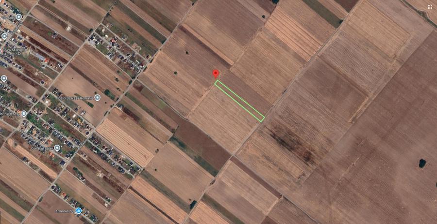 Teren agricol extravilan de 5901.419921875 mp, în Berceni