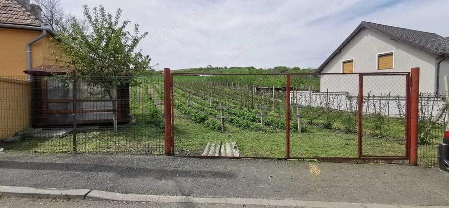 Teren de 1400 mp, în Mândra