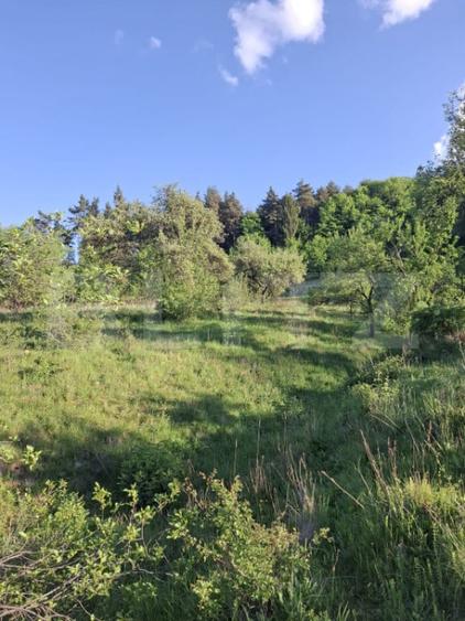 Teren extravilan de vanzare, 10.000 mp, in Valea Zizinului - 2
