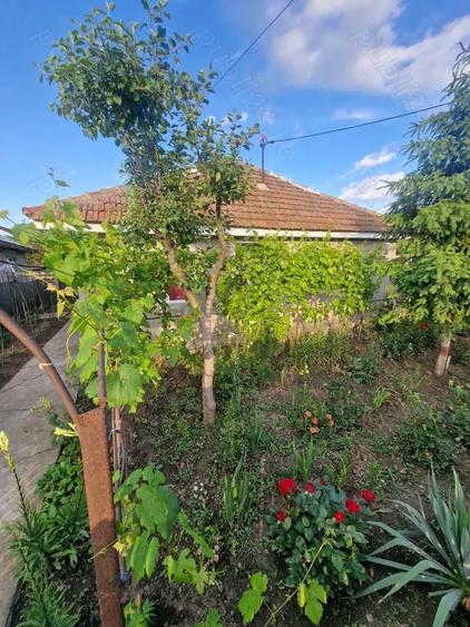 Casa de Vanzare Slobozia Noua - 3