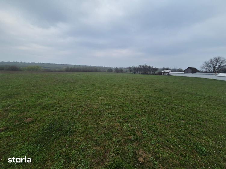 Teren de 2200 mp, în Mitocu Dragomirnei