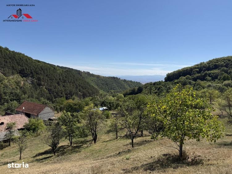 Spațiu comercial, în Valea Vințului