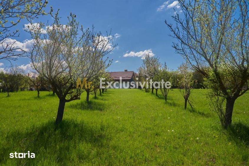 Casa Valea Mare Pravat (Campulung-Arges ) - farmec interbelic - 7