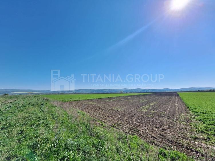 Teren agricol extravilan de 8700 mp, în Bod