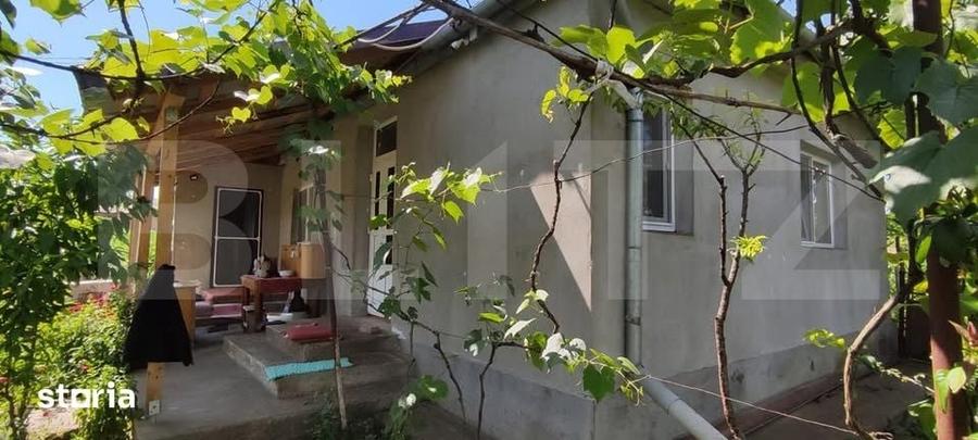 Casă cu 3 camere cu Teren 2323 Mp în Criș