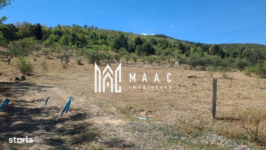 Spațiu comercial, în Central