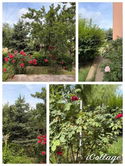 Casă cu 4 camere în Central