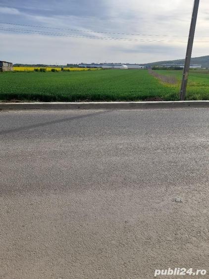 Teren de 5000 mp, în Central