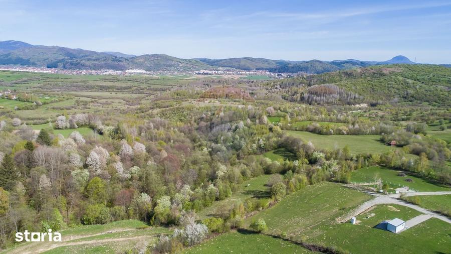 Teren de 6800 mp, în Tohănița