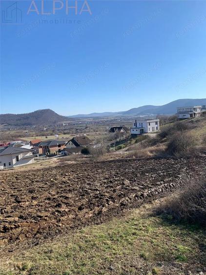 Teren de 6350 mp, în Viișoara