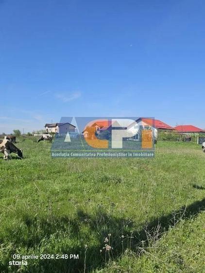 Spațiu comercial, în Mihăilești