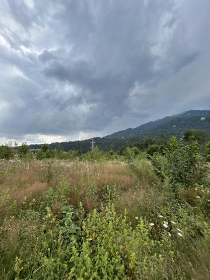 Teren de 1724 mp, în Nord