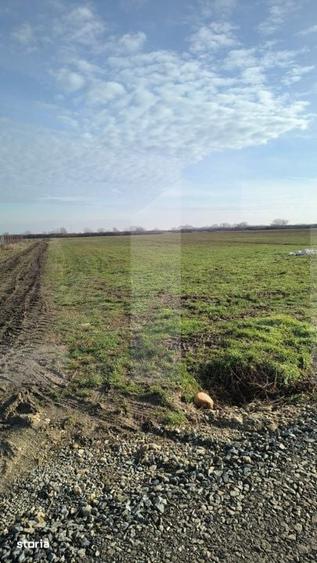 Teren de 7500 mp, în Rahova