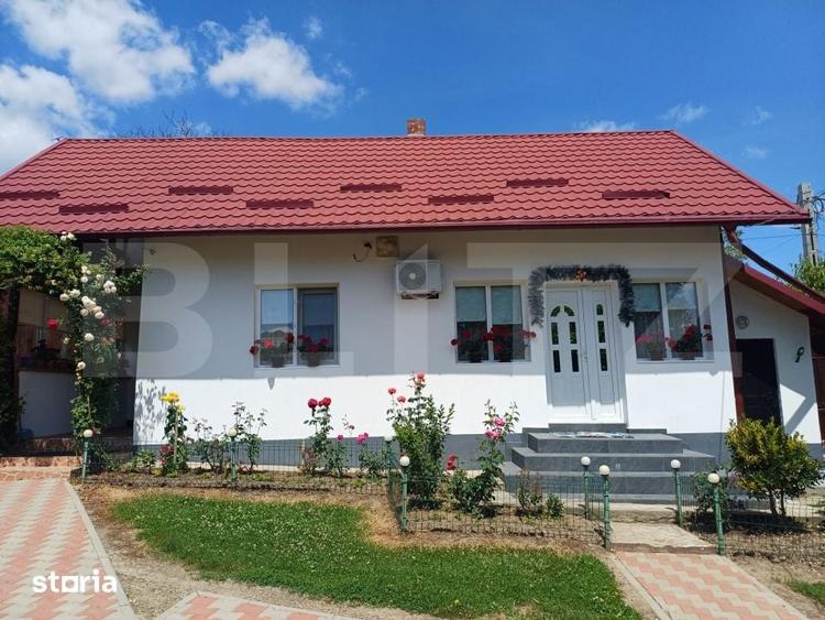 Casă cu 2 camere cu Teren 3500 Mp în Adâncata
