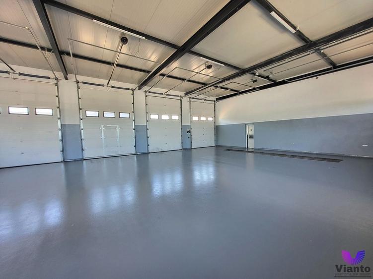 Spațiu industrial, de 200 mp, în Cristian