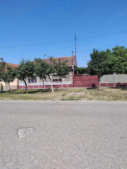 Casă cu Teren 1055 Mp în Central