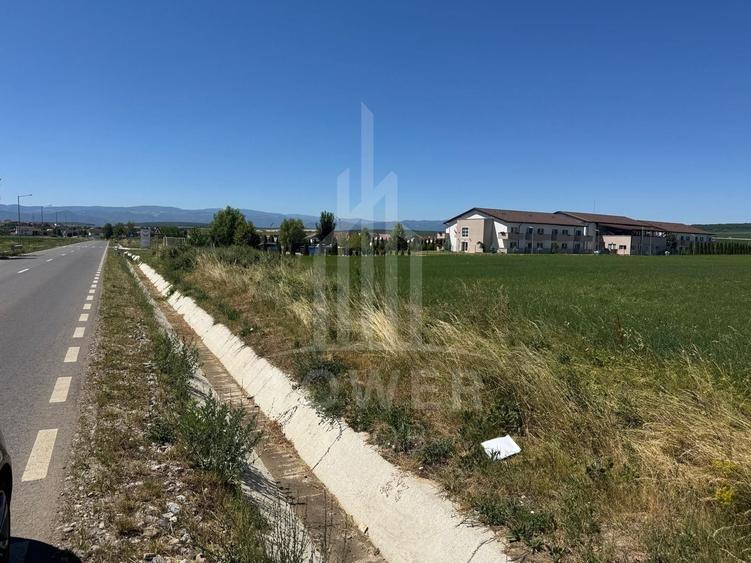 Teren agricol intravilan de 10000 mp, în Șura Mică