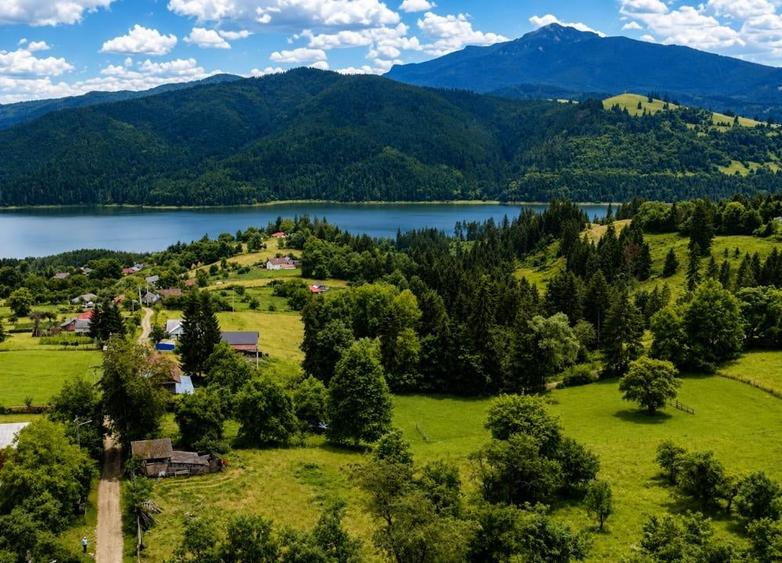 Teren intravilan de 9994 mp, în Hangu