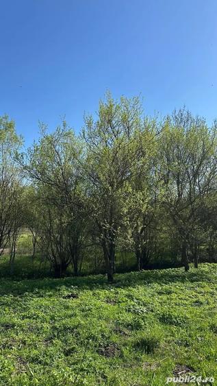 Teren în Bădești