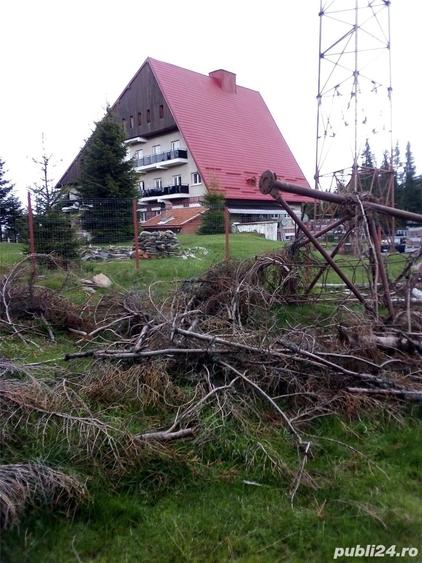 Teren de 17000 mp, în Muntele Băișorii
