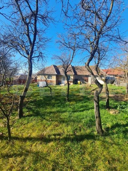 Casă individuală cu 2 camere cu Teren 2589 Mp în Rediu