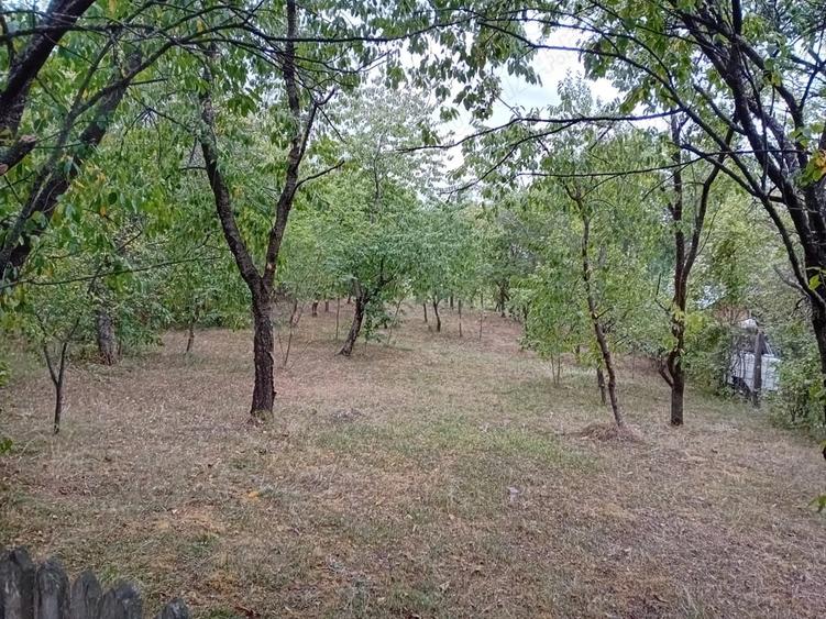 Teren de 1280 mp, în Predeal