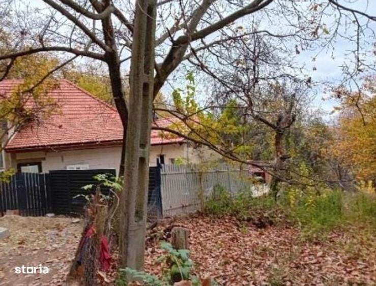 Casă cu 2 camere în Dobriceni