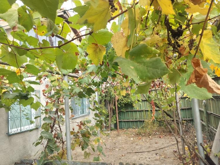 Casă individuală cu 2 camere cu Garaj în Malu Mare