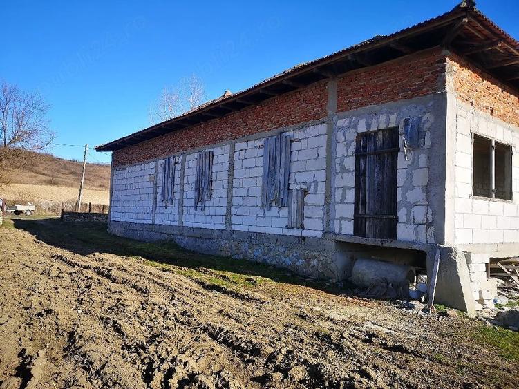 Casă cu 7 camere cu Teren 5000 Mp în Grădiștea