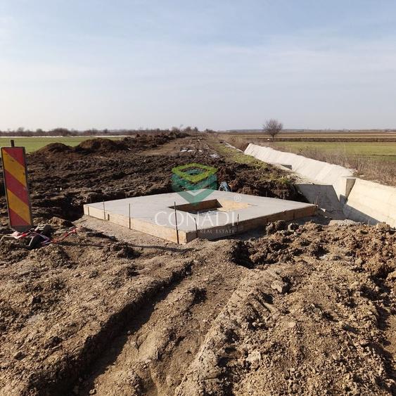 Teren Construcții intravilan de 19330 mp, în Tărtășești