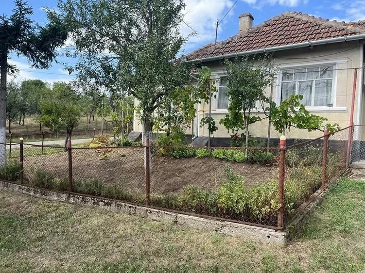 Casă cu 4 camere cu Teren 3000 Mp în Chieșd