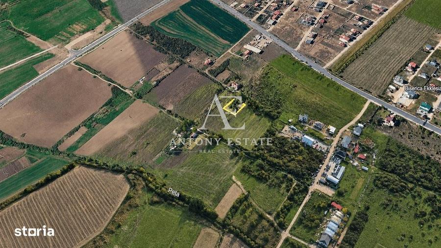 Antony Estate | Teren de vanzare in Sanmartin - 1