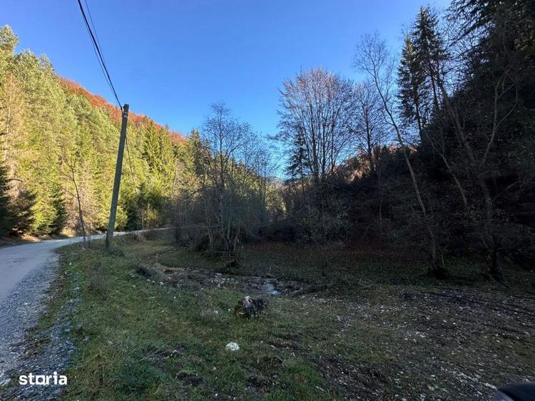 Teren de 2882 mp, în Dâmbovicioara