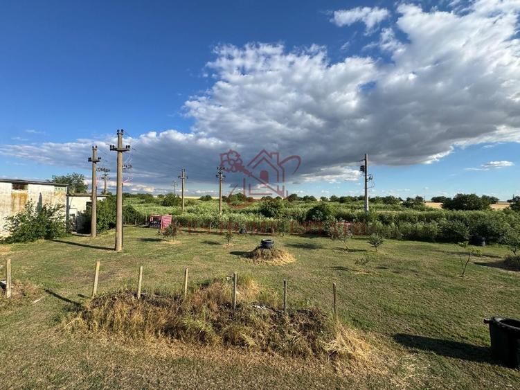 Spațiu industrial, de 16,000 mp, în Orțișoara